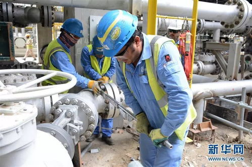 携手共进，开创未来 科威特王子与中国伙伴的战略合作探索