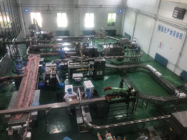 21年始终如一 饮乐多打造消费者放心活性乳酸菌品牌